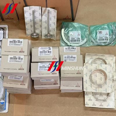 TCD 2015 V08 Engine Repair Kit Energy Efficient High Precision For Deutz Excavator