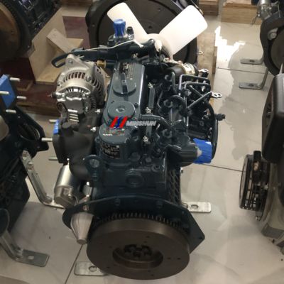 Kubota D902-EF03 Dieselmotor, geringer Kraftstoffverbrauch und geringer Lärm, speziell für kleine Geräte entwickelt